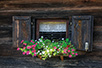 Flowers in the window (Photo: Željko Sinobad)